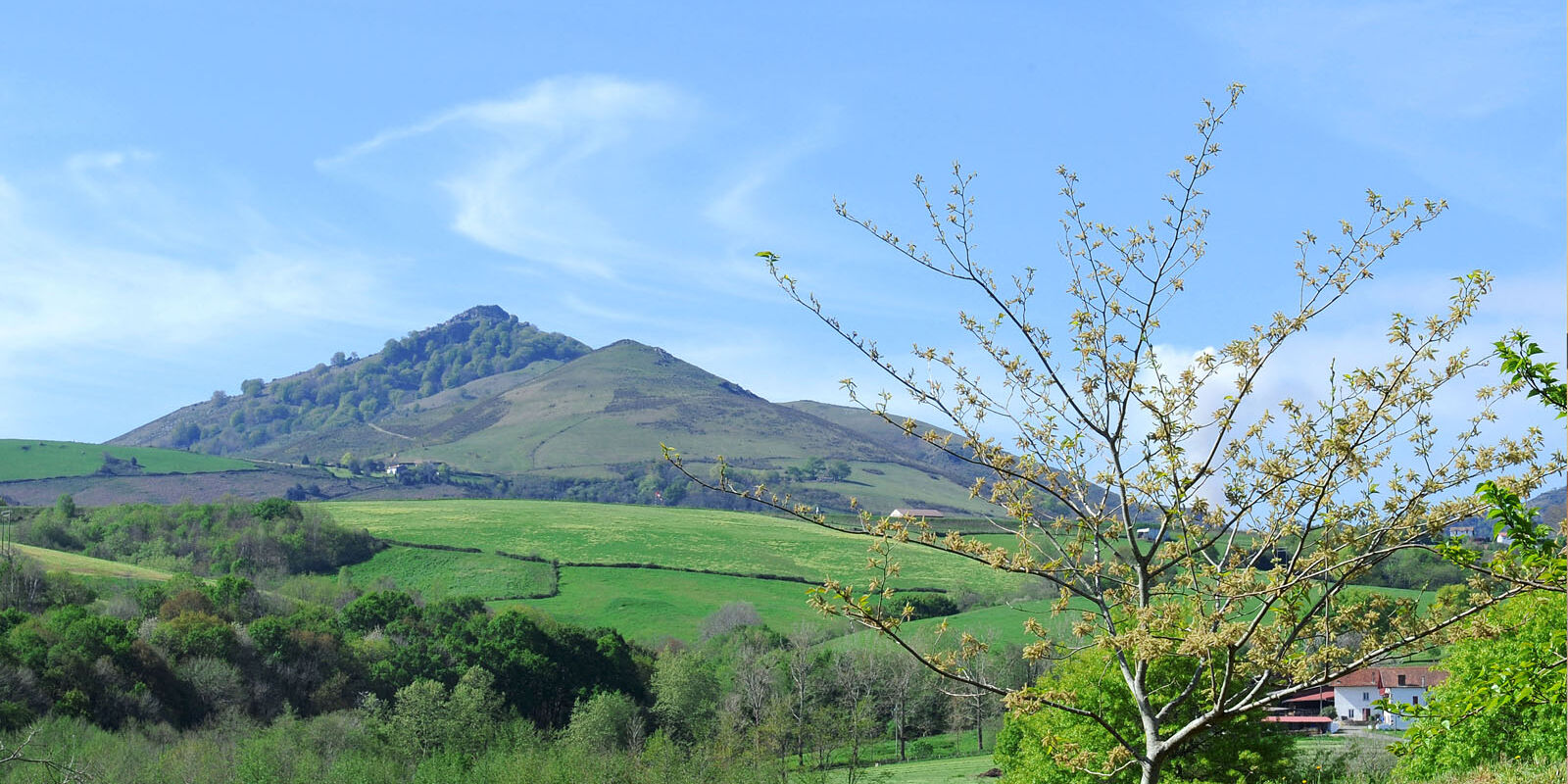 alzuyeta-itxassou-traiteur-location-salle-paysage